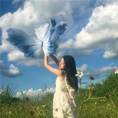 灵书妙探第七季
