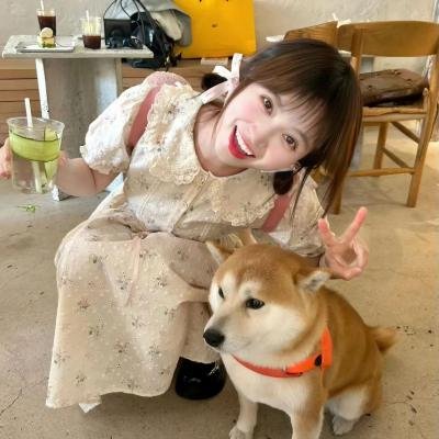 狗仔有喜事